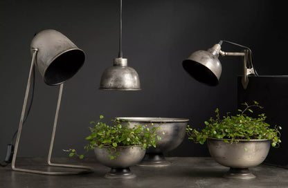 Vegglampe med Clip El - Cloudy grå
