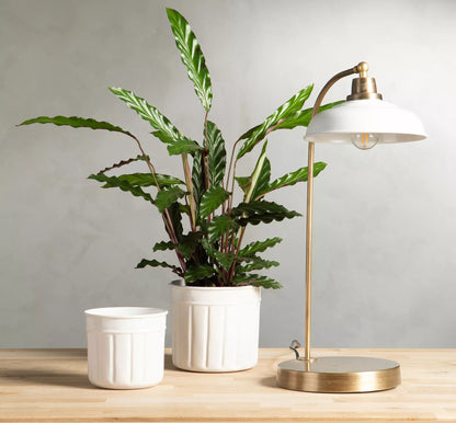 Bordlampe Noa Emalje Shell 30x52cm