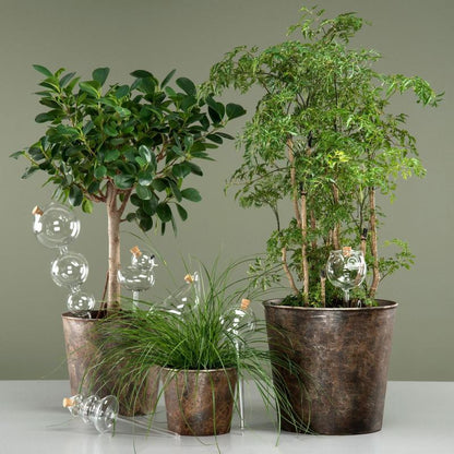 Bevanningsglass planter And 9x25cm
