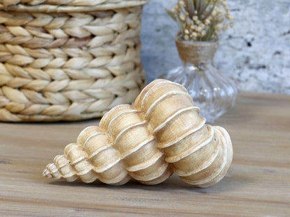 Maritim Dekorasjon Shell H9 / L14,5 / B8 cm antikk natur SALG