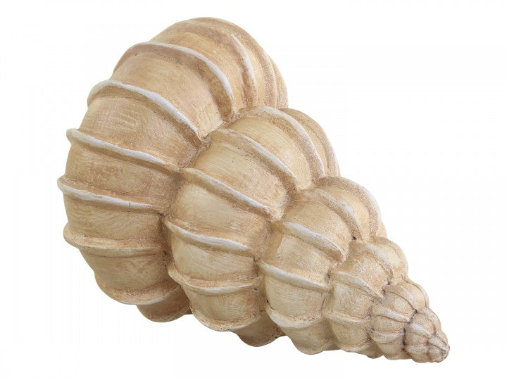 Maritim Dekorasjon Shell H9 / L14,5 / B8 cm antikk natur SALG