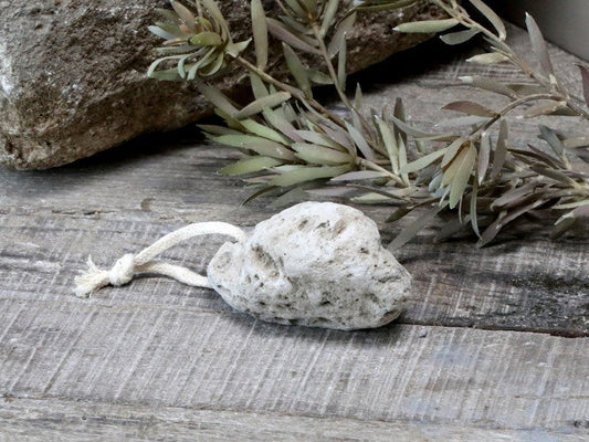 Eternel lavapimpice