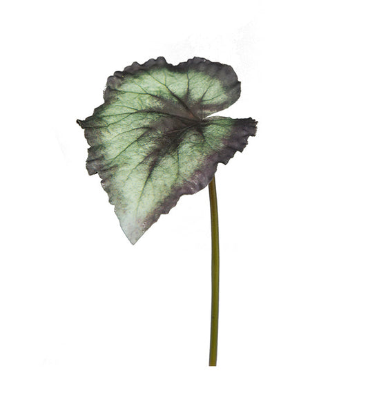 Konstgjord växt Rexbegonia blad 20 cm