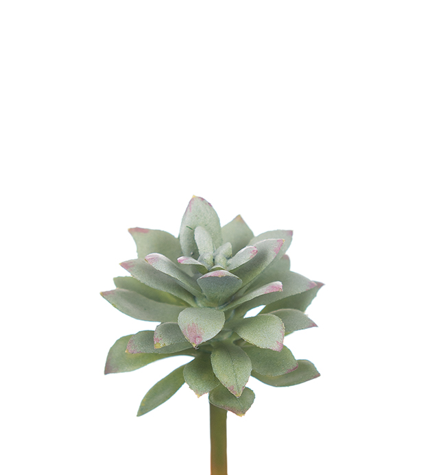 Kunstig Echeveria 6 cm , hemmetshjarta.no